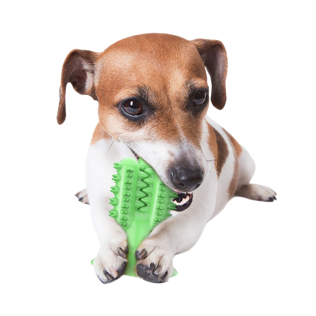 Cactus Dog Toothbrush Cactus Dog Toothbrush