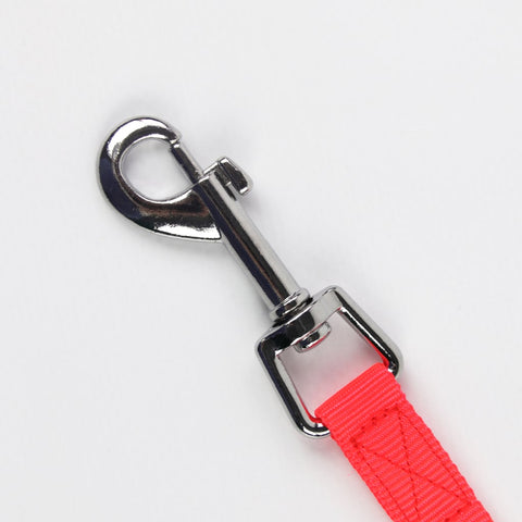 LED Dog Leash LED Dog Leash