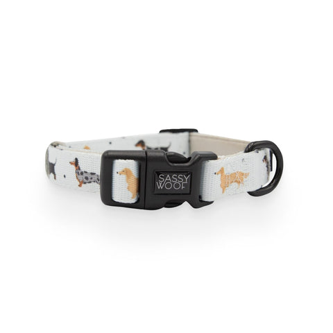 101 Dachshund' Dog Collar 101 Dachshund' Dog Collar