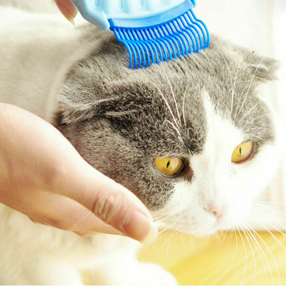 Pet Massage Shell Brush Pet Massage Shell Brush