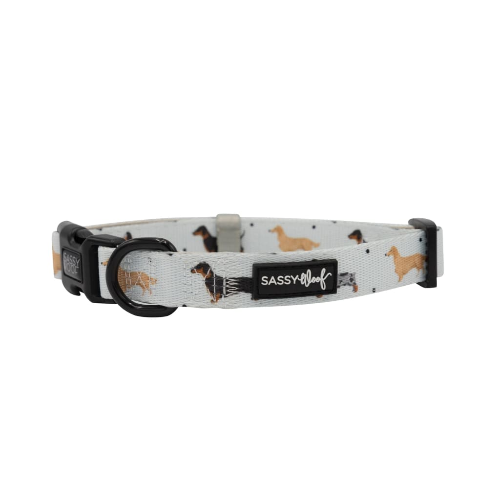 101 Dachshund' Dog Collar 101 Dachshund' Dog Collar