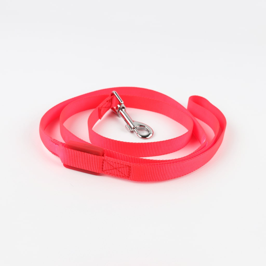LED Dog Leash LED Dog Leash