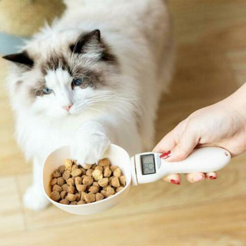 Pet Food Measuring Spoon With LCD Display Pet Food Measuring Spoon With LCD Display