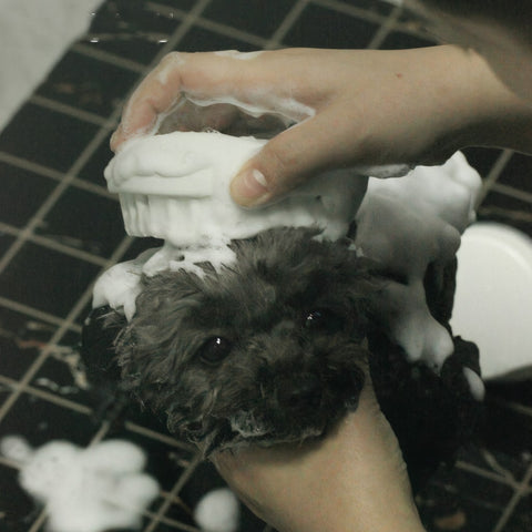 Grooming Bath Brush Grooming Bath Brush