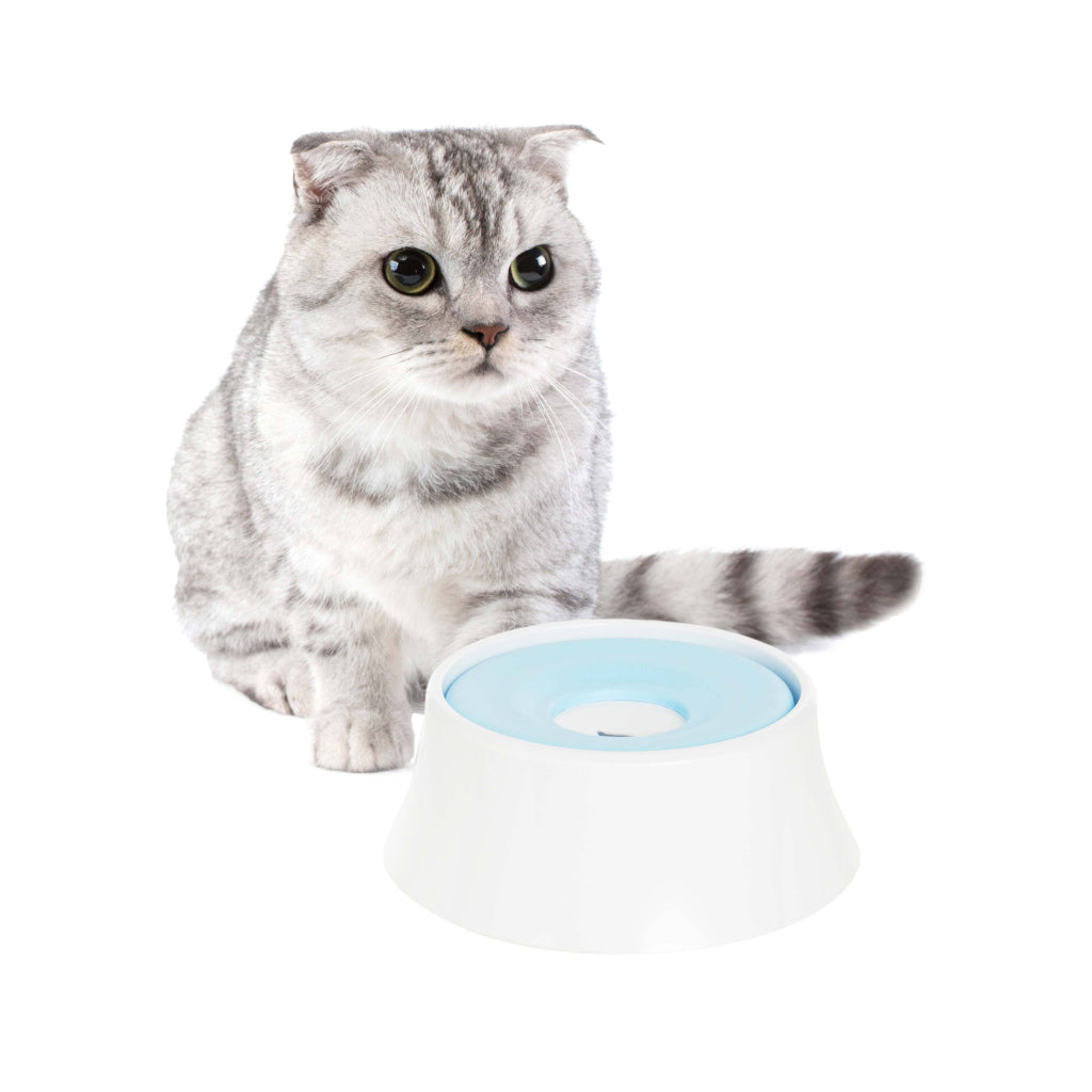 Anti-Splash Water Dispenser for Pets Anti-Splash Water Dispenser for Pets