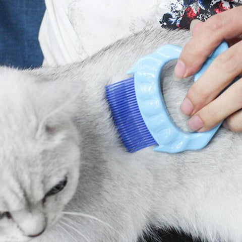 Pet Massage Shell Brush Pet Massage Shell Brush
