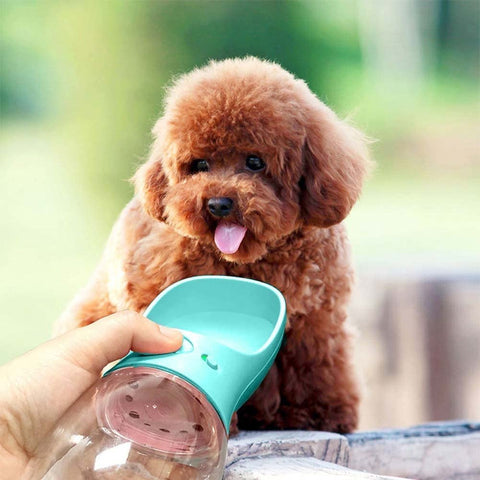 Portable Pet Water Bottle