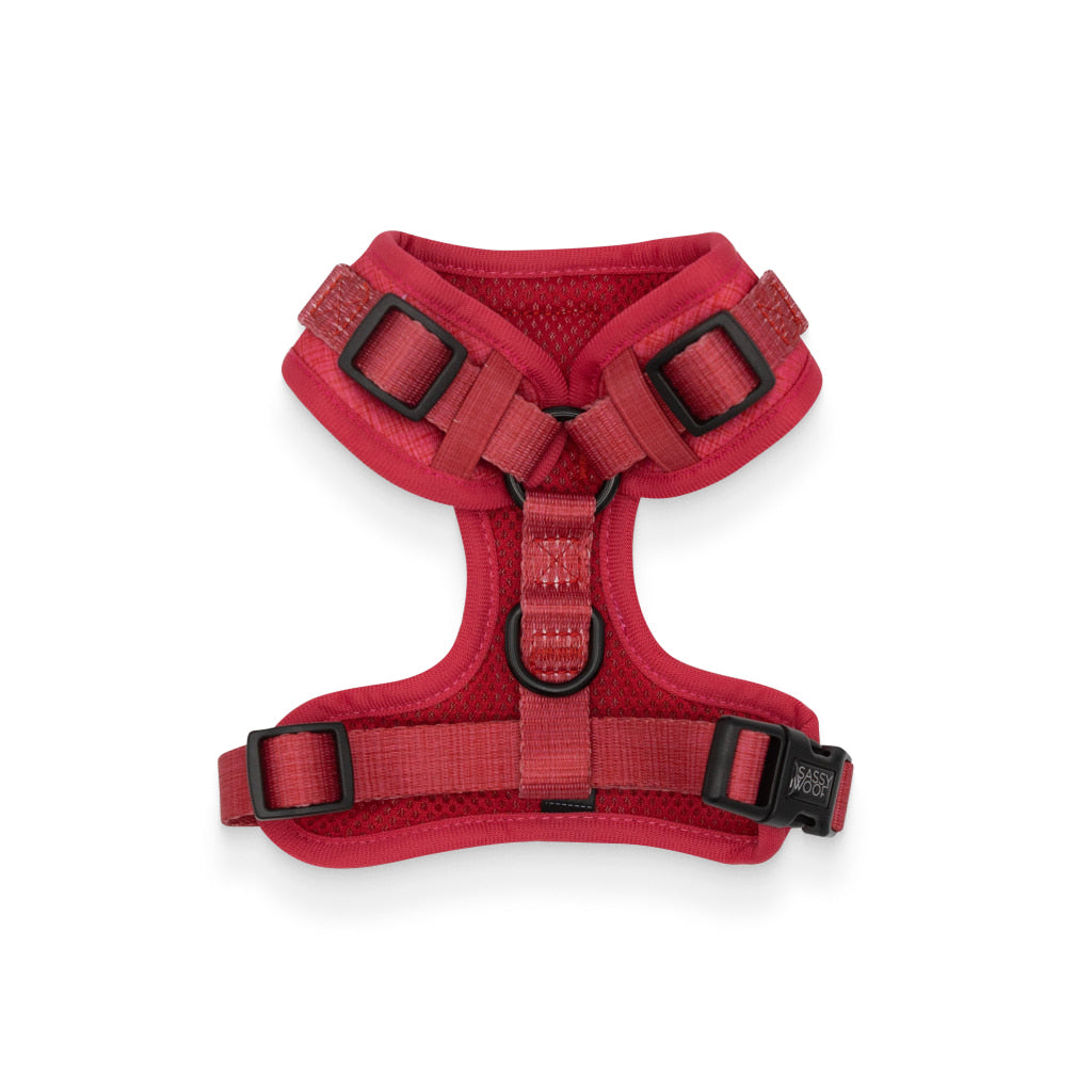 'Merlot' Adjustable Dog Harness